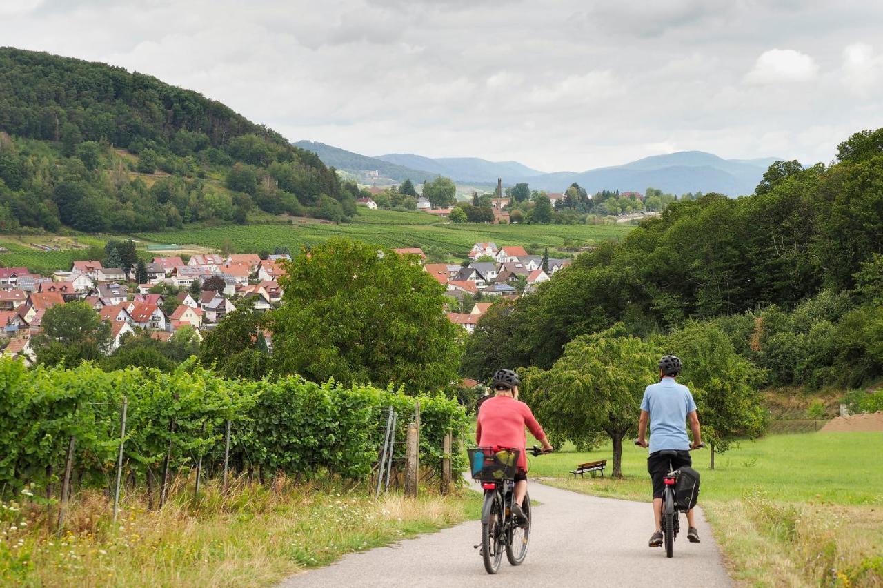 Landhotel Hauer Pleisweiler-Oberhofen Ngoại thất bức ảnh